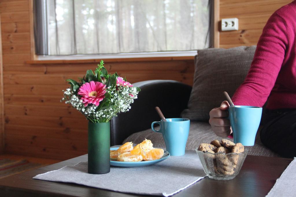 Kapteni Holiday House Paatsalu Экстерьер фото